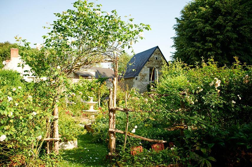 Domaine De La Juranvillerie, Gite Et Chambres D'Hotes Rigny-Ussé Exteriör bild